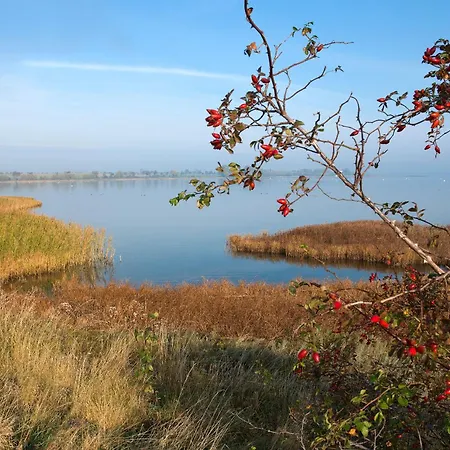 Prázdninový dům Reihenhaeuser Timmendorf Haus Strandmuschel Insel Poel