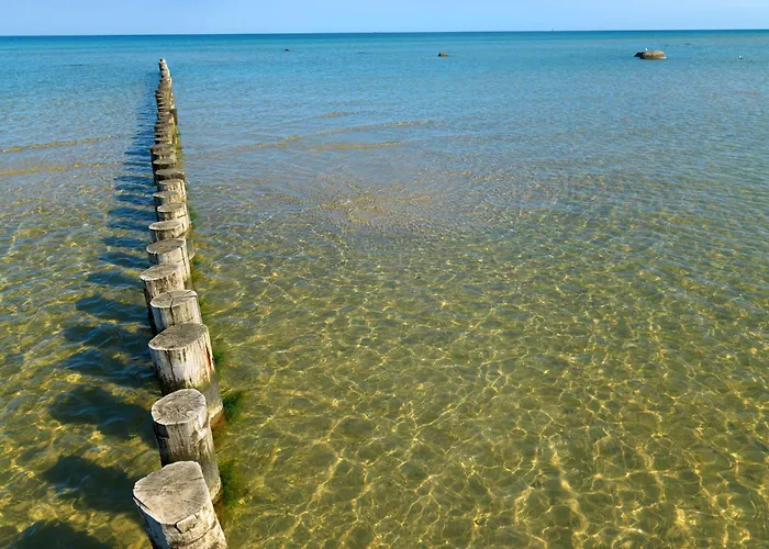 Reihenhaeuser Timmendorf Haus Strandmuschel Dom wakacyjny *