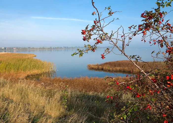 Dom wakacyjny Reihenhaeuser Timmendorf Haus Strandmuschel Wyspa Poel