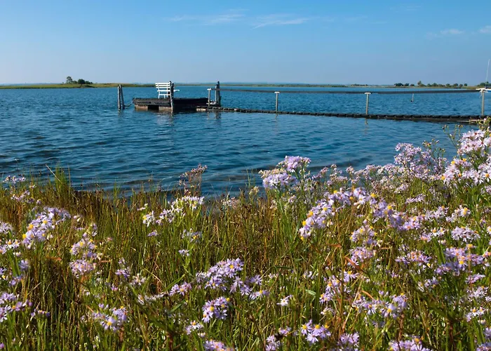Reihenhaeuser Timmendorf Haus Strandmuschel * Wyspa Poel